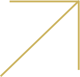 financial services litigation attorney