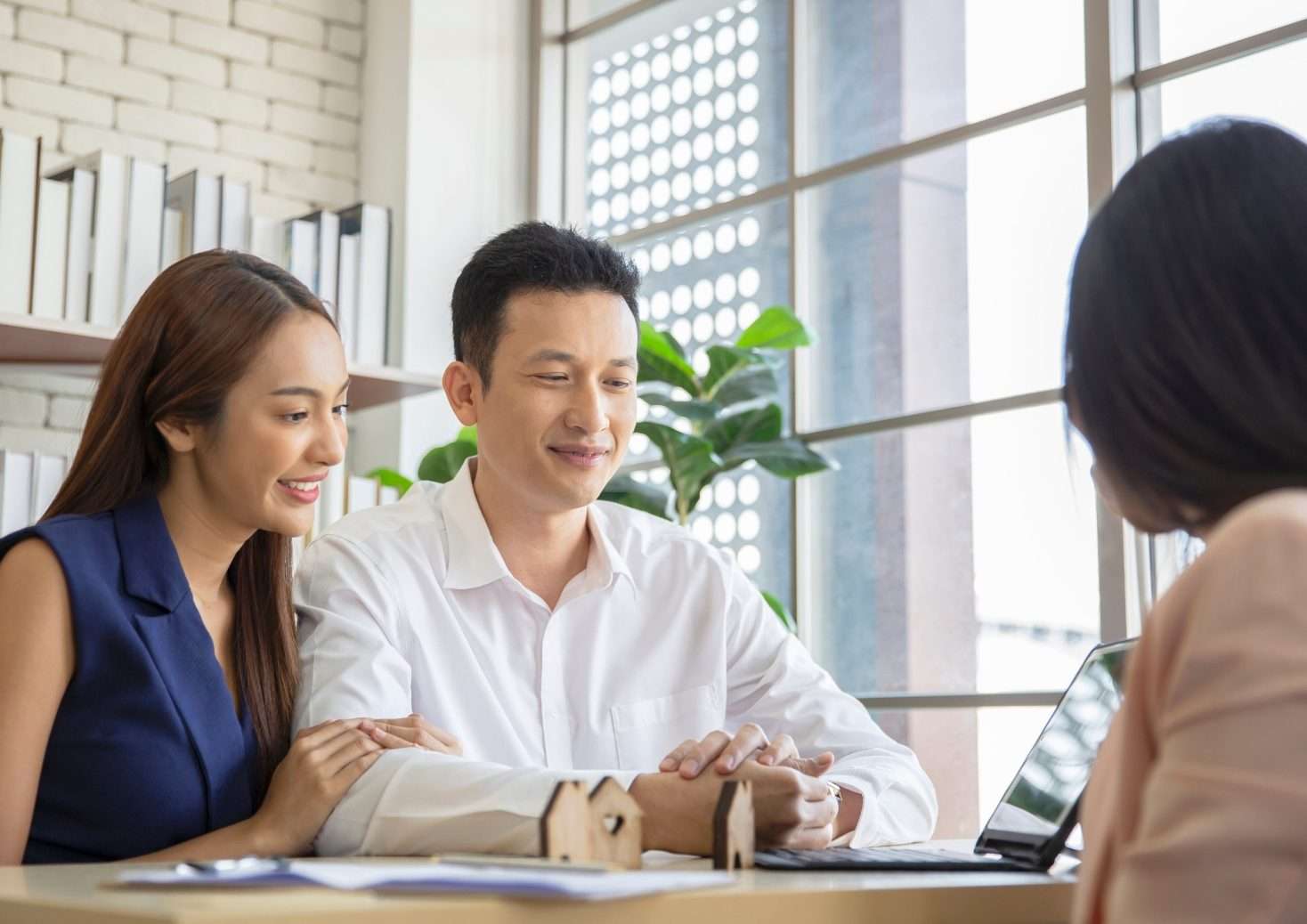 asset protection attorney